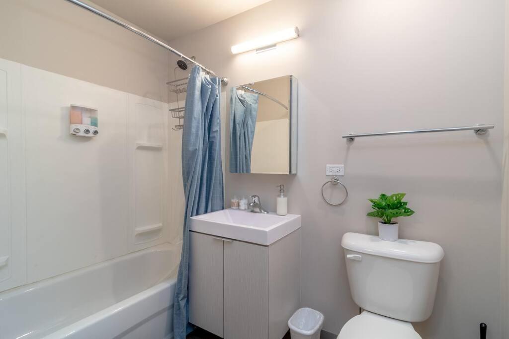 Modern 2Br In South Loop Near Soldier Field, Grant Park, Downtown, & Lakefront Trail Chicago Ngoại thất bức ảnh