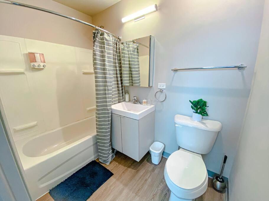 Modern 2Br In South Loop Near Soldier Field, Grant Park, Downtown, & Lakefront Trail Chicago Ngoại thất bức ảnh